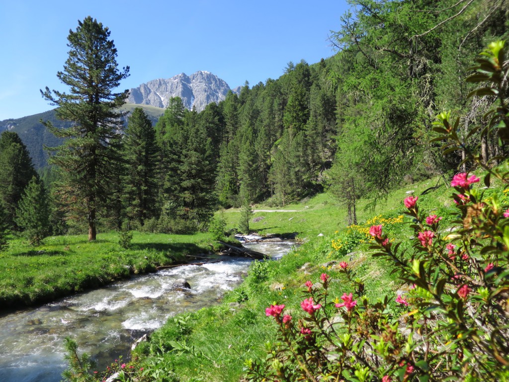 Etu╠êreise_Bergnatur